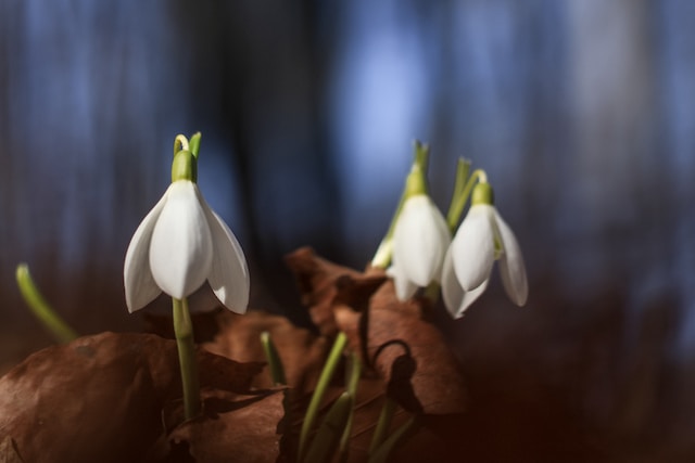 Life Is Fragile: Make Time for What Matters and Let Go of What Doesn’t Make Time for What Matters and Let Go of What Doesn't